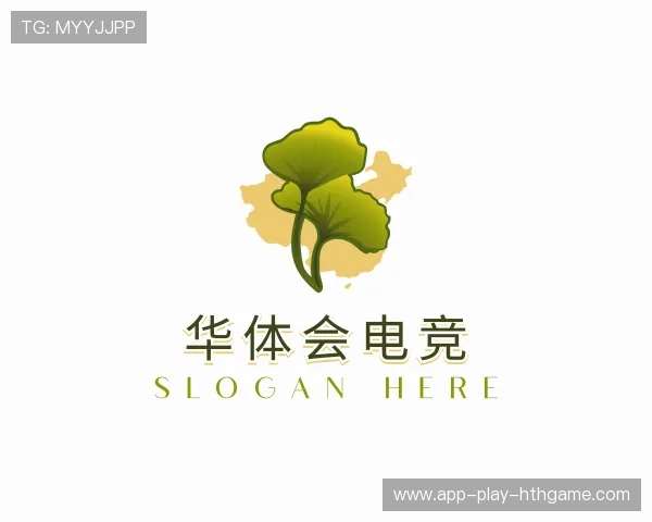 发现华体会电竞